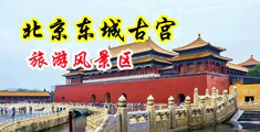 啊激情水嗯视频中国北京-东城古宫旅游风景区